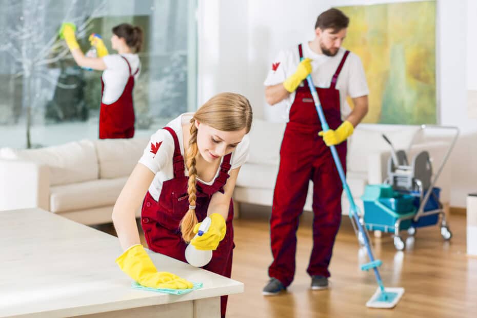 Discover the Differenc Professional Carpet Cleaning Services That Stand Out